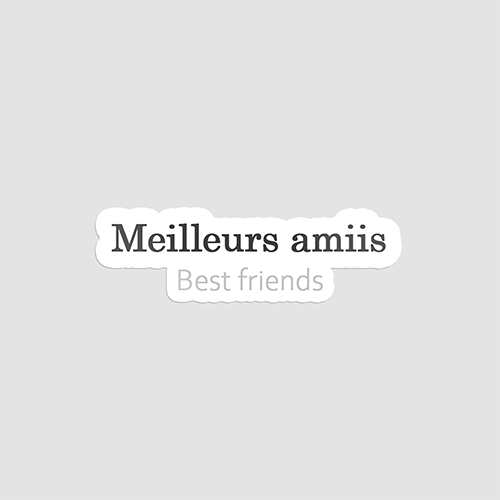 استیکت فروشگاه آنلاین قاب موبایل و استیکر لپتاپ استیکر Meilleurs Amiis