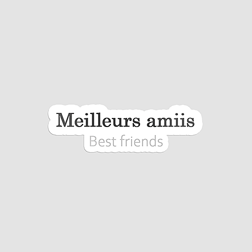 استیکت فروشگاه آنلاین قاب موبایل و استیکر لپتاپ استیکر Meilleurs Amiis